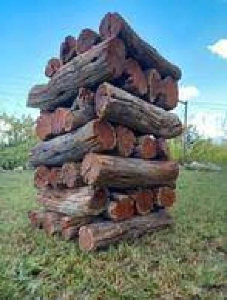 Sekelbos Braaihout 20kg zak